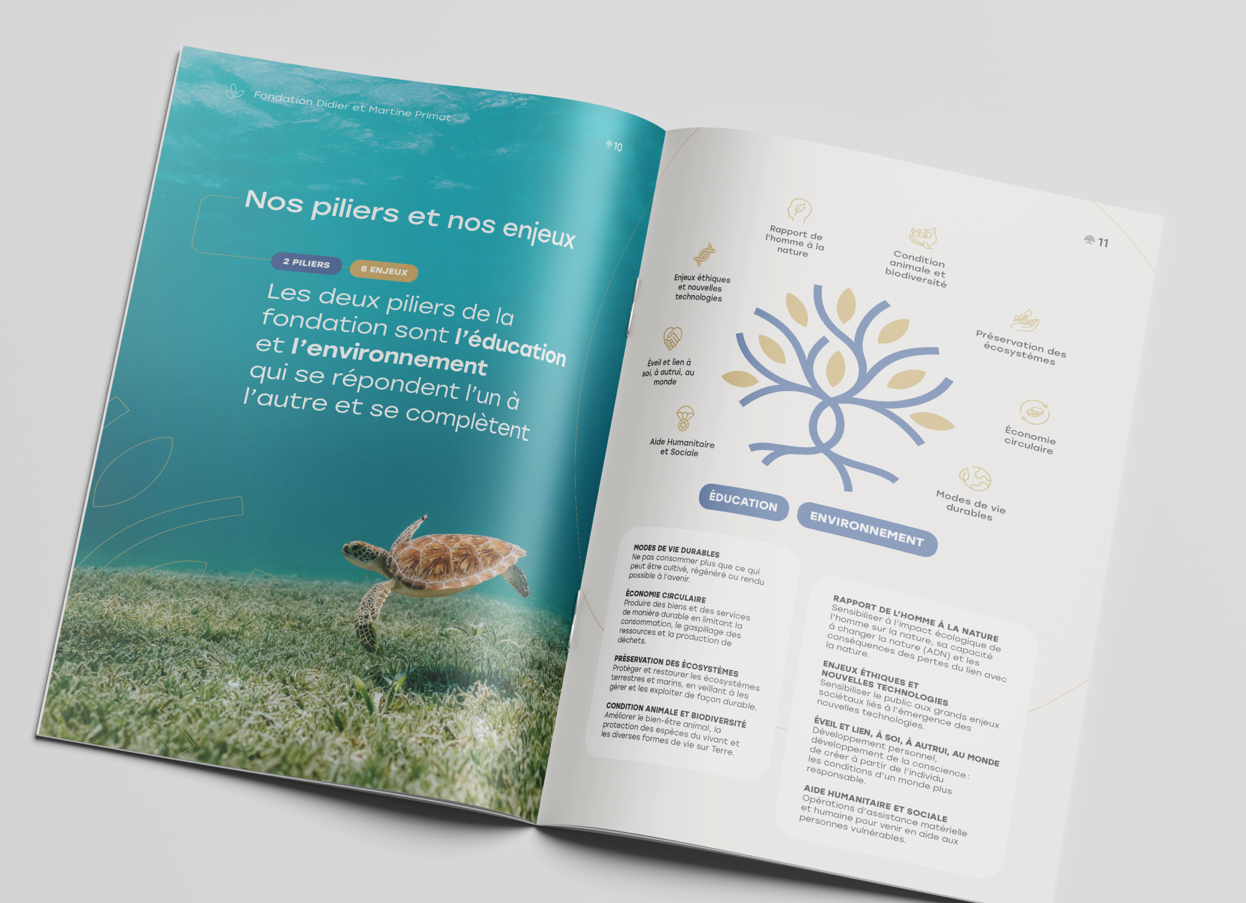 Création rapport activité mise en page Brandlift Genève