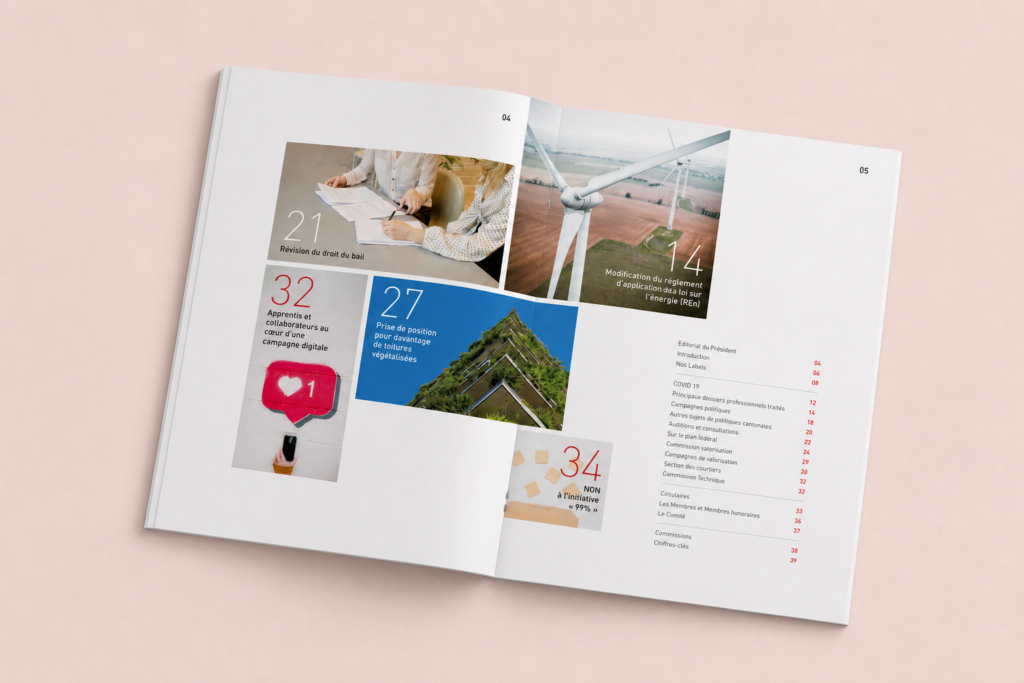 Annual Report Design and Layout, Geneva