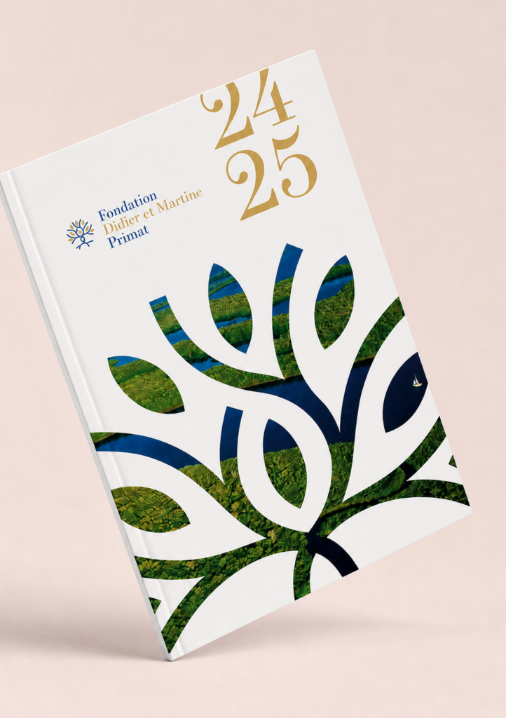 Création rapport activité mise en page Brandlift Genève